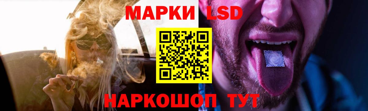Бошки Шишки Дзержинск