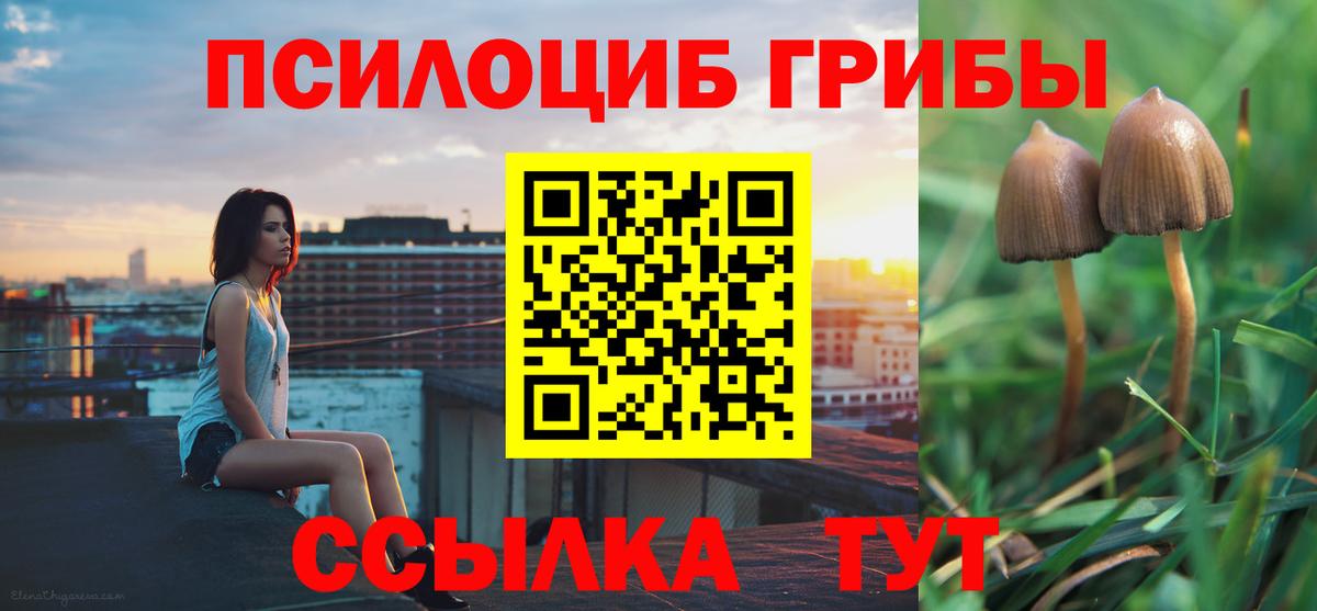 Дзержинск  Галлюциногенные грибы мухоморы  Вход с VPN 